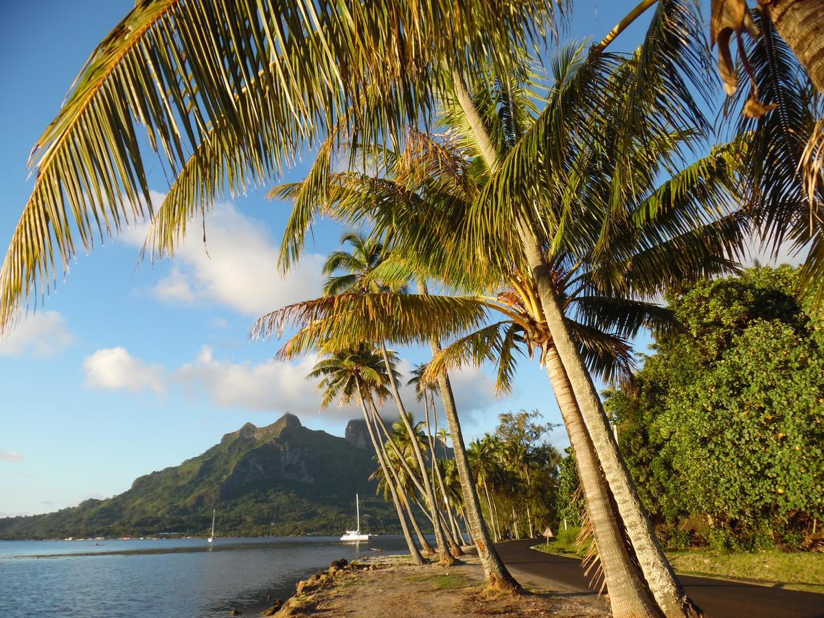 Village Temanuata Bora Bora Exterior photo